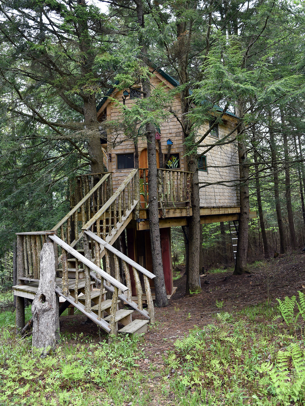 Treehouse